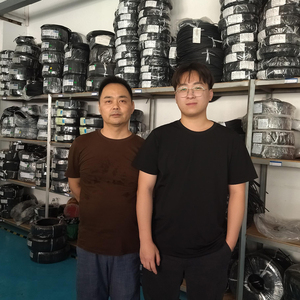 中山市**电子科技有限公司
（ISO 9001）